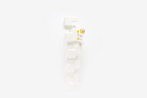 2010365_0212_IvoryTower-web